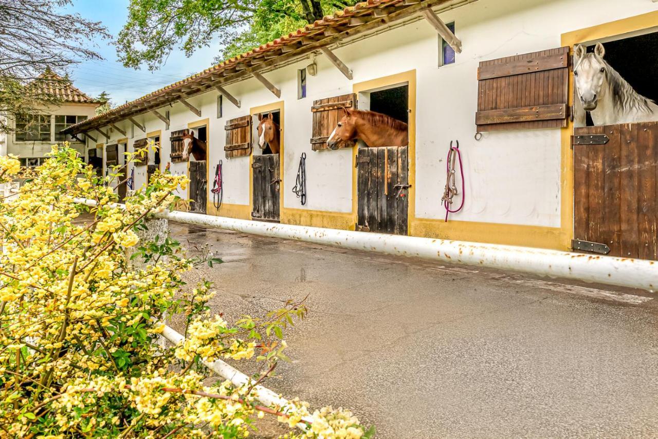 Villa Quinta Do Boicao Lisboa Exterior foto